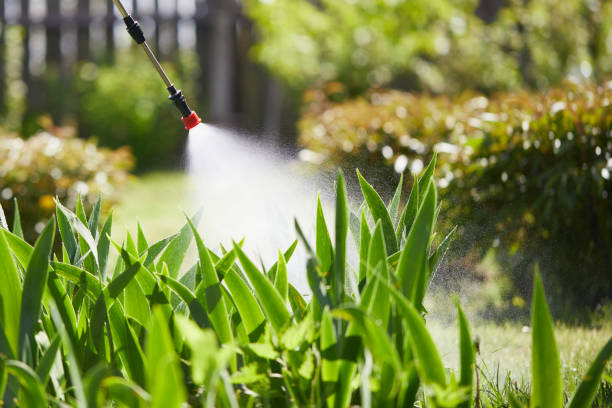 Tamper-Resistant Bait Stations for Rodents in North Decatur