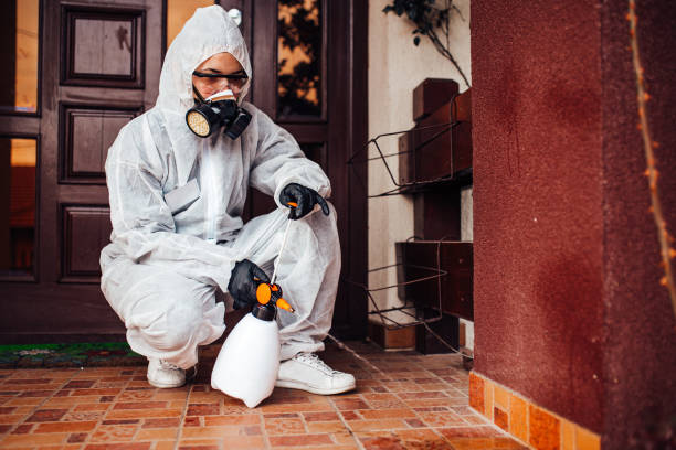 Attic and Crawl Space Rodent Treatment in North Decatur