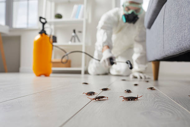 Commercial Rodent Management in North Decatur